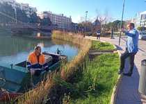 El Ayuntamiento de Peñíscola avanza en las tareas de rutina de desbroce del marjal y la zona del Ullal