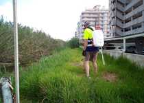 Continúan los tratamientos rutinarios de control de plagas en Peñíscola