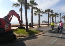 Siguen a buen ritmo los trabajos de mejora de la jardinería en el Paseo Marítimo de Peñíscola tras los efectos de la borrasca Gloria
