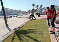 Avanzan los trabajos de mejora de la jardinería en el Paseo Marítimo de Peñíscola tras los efectos de la borrasca Gloria