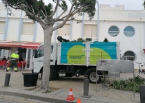 Peñíscola realiza tareas de mantenimiento y embellecimiento de los espacios públicos