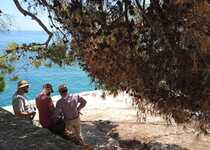 El Ayuntamiento de Peñíscola comienza el estudio de los grafitos navales para su restauración y protección