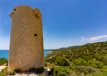 El Ayuntamiento de Peñíscola solicita al Consell que incremente la limpieza y las tareas de prevención de incendios en el Parque Natural de la Serra d'Irta