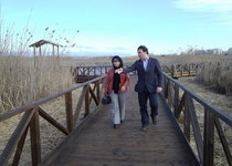 Mejoras en la pasarela del norte de la Marjal