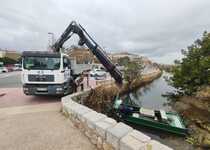 El Ayuntamiento de Peñíscola realiza tareas de limpieza y desbroce en el Ullal