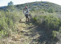 La Brigada del Parque Natural de la Serra d’Irta adecua sendas para la Volta a peu