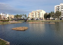 El Ayuntamiento de Peñíscola desbroza el marjal y el Ullal de l'Estany 