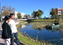 El Ayuntamiento de Peñíscola comienza la poda de cañas en el Ullal de l’Estany
