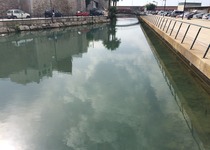 El Ayuntamiento de Peñíscola exige a la Generalitat que actúe y asuma su responsabilidad en la limpieza y mantenimiento de la balsa portuaria