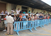 Peñíscola reparte 500 kilos de sardinas en la sardinada popular de las Fiestas‏