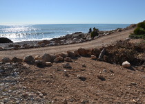 El Ayuntamiento de Peñíscola reitera a la Generalitat la necesidad de actuar en la limpieza, desbroce y adecuación de caminos rurales en la Serra d’Irta