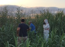 El Ayuntamiento de Peñíscola programa 20 tratamientos en humedales contra las larvas del mosquito tigre