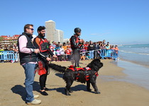 Peñíscola cuenta ya con una delegación oficial de la unidad de rescate canina en playas Mare Nostrum