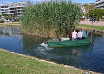 El Ayuntamiento de Peñíscola continúa con las labores de prevención de plagas en todo el municipio