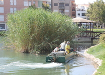 El Ayuntamiento de Peñíscola sigue con los ciclos de fumigaciones en el humedal, hasta septiembre