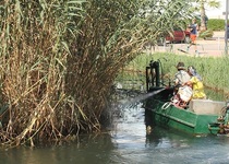 El Ayuntamiento de Peñíscola refuerza el control de plagas e incluye fumigaciones desde dentro del humedal