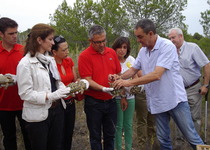 Medio Ambiente libera 300 ejemplares de Tortuga mediterránea en la Serra d’Irta