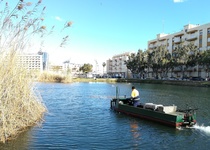 El Ayuntamiento de Peñíscola avanza en las tareas de rutina de desbroce del marjal y la zona del Ullal