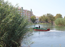 El Ayuntamiento de Peñíscola inicia la limpieza del marjal